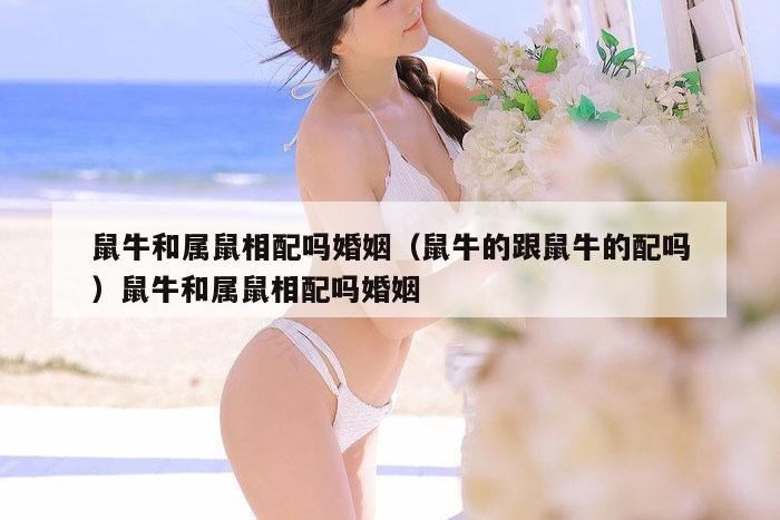 鼠牛和属鼠相配吗婚姻(鼠牛的跟鼠牛的配吗)鼠牛和属鼠相配吗婚姻